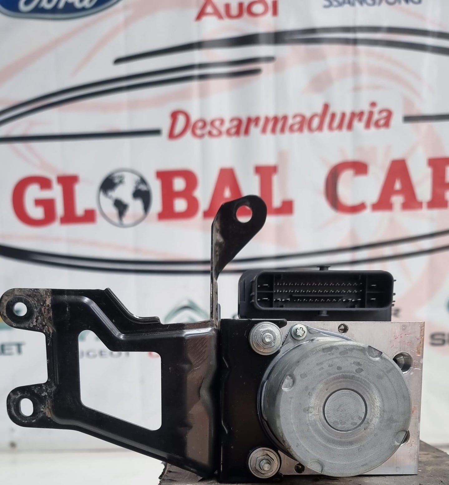 Modulo Abs Para  Haval H6 2.0 Aut 2022 (2)